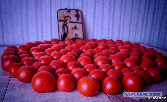 Вяленые помидоры