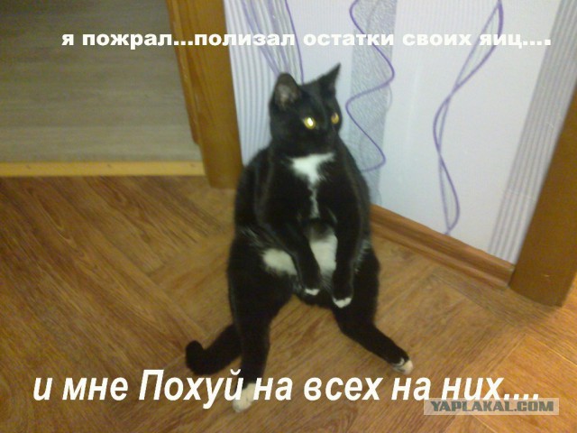 Соцсети - это настоящий филиал АДА на земле