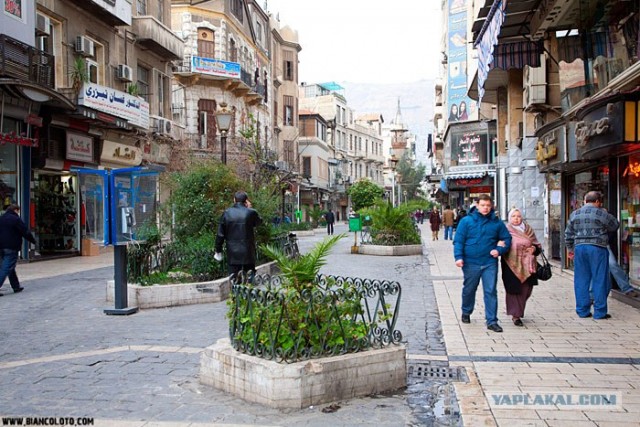 Последствия войны в Сирии