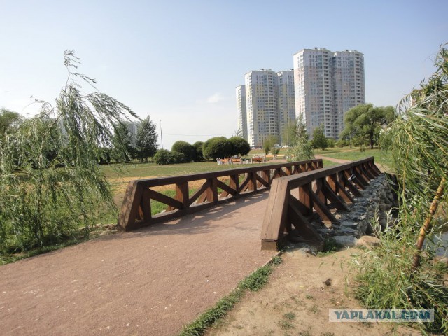 А у нас в пруду подснежник всплыл