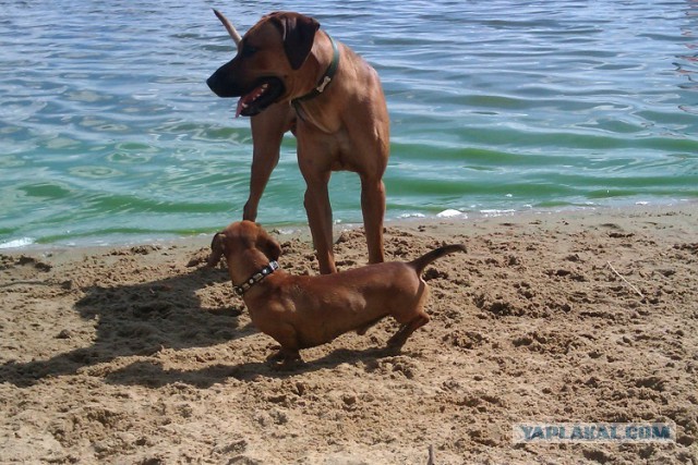 Две старых фотки