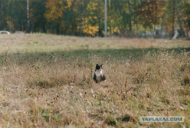Советское фотодетство