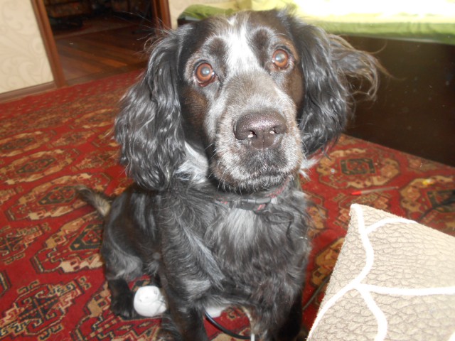 Этот ВЗГЛЯД!