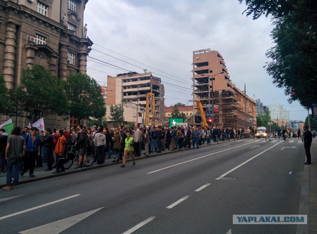 Митинг против правительства в Белграде