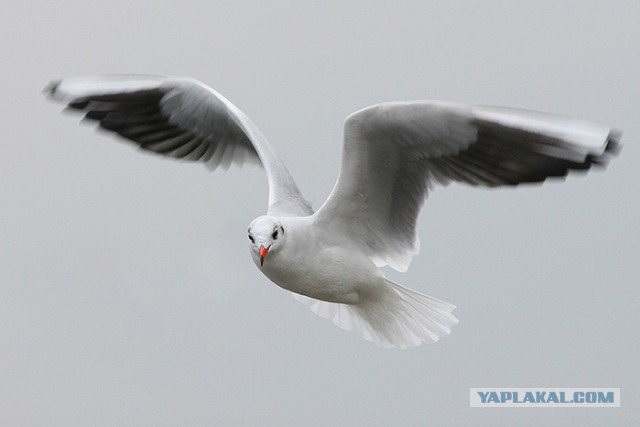Многие думают, что море создано для романтики