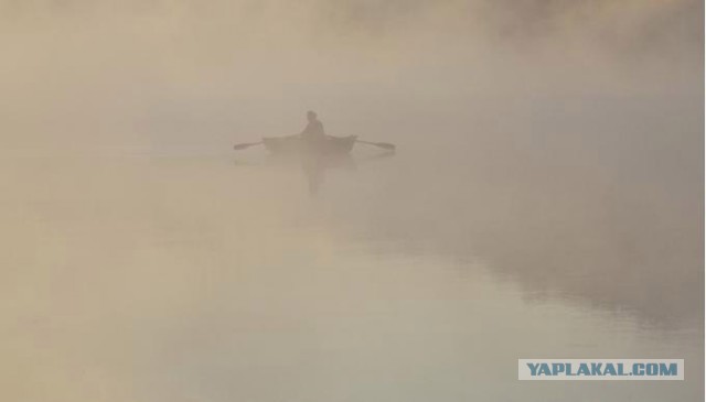 Блокнот Кота Учёного ©TimaKlimenko
