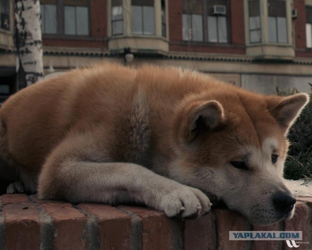 10 самых сильных почти бессловесных сцен из кинофильмов