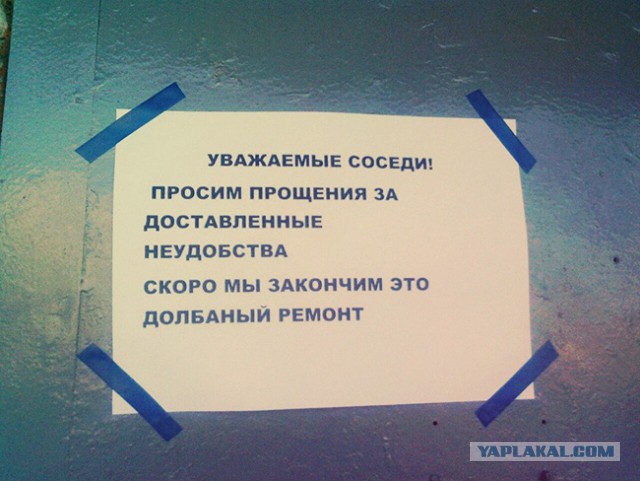 15 душевных объявлений из наших подъездов