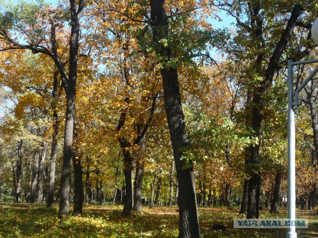 Немного Самары