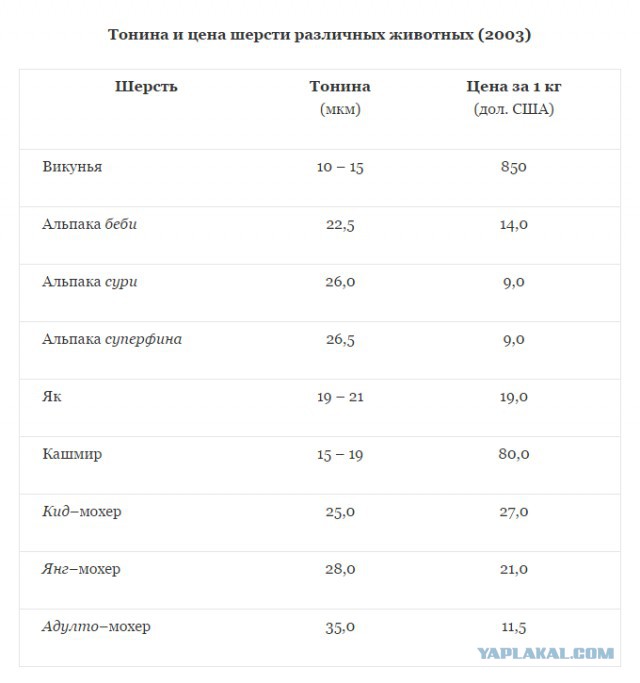 А тем временем в ЦУМе...