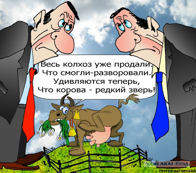 Прямая линия с В. В. Путиным