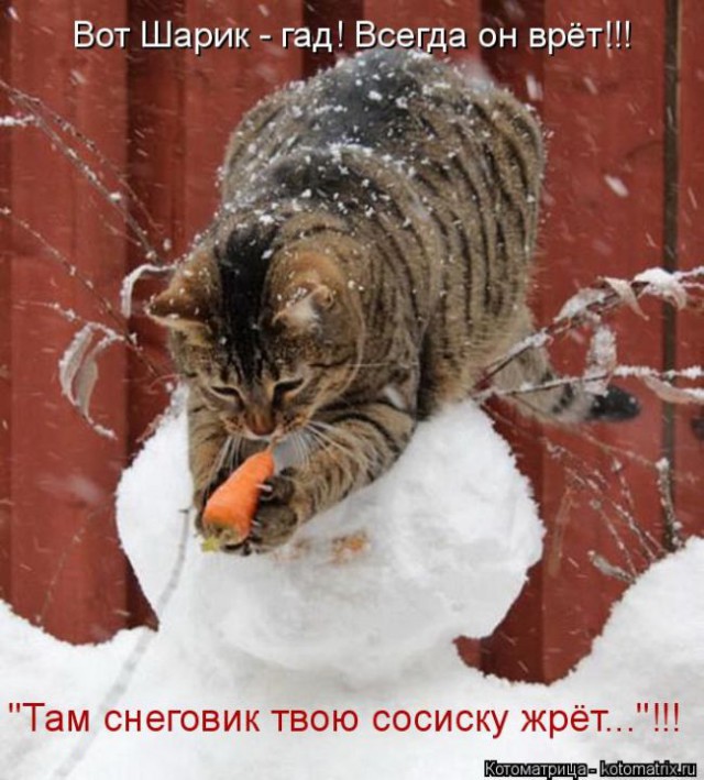 Картинки всякие для поднятия настроения!