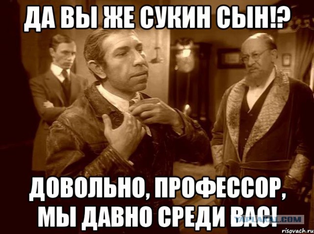 Студию режиссера Алексея Учителя забросали "коктейлями Молотова"