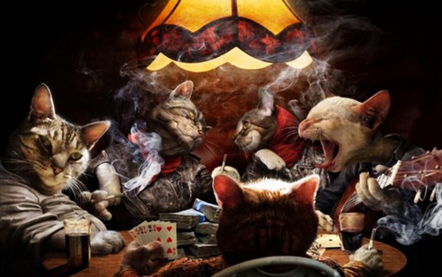 Коты и Кошки
