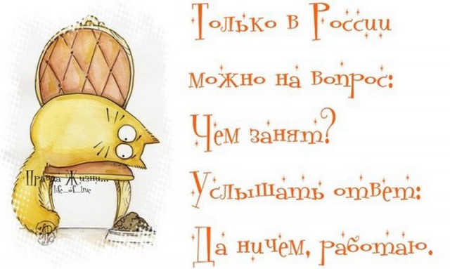 Подборка интересных и веселых картинок