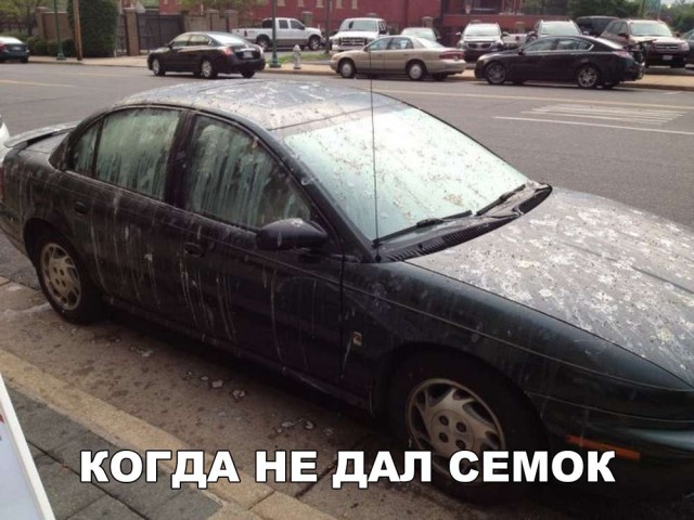 Прикольные картинки обо всём