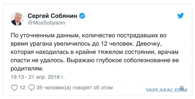 В Москве из-за шторма пострадали 12 человек