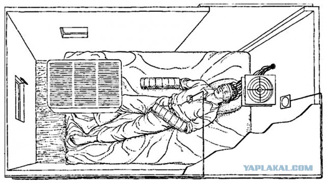 Реальная история ужасов.