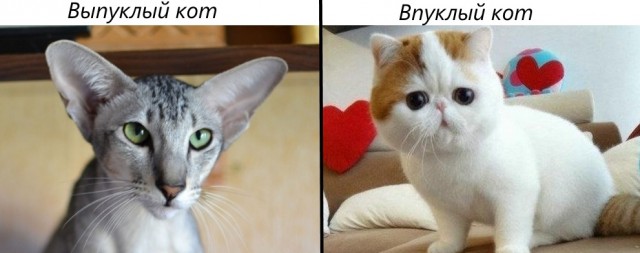 Зависть