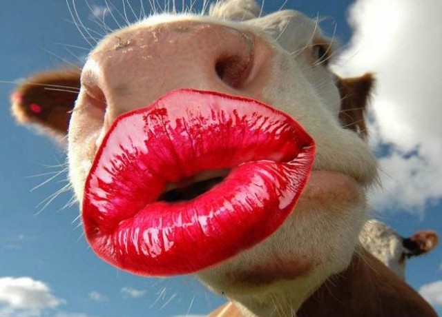 Кенийца застукали во время изнасилования соседской коровы и чуть не забили до смерти