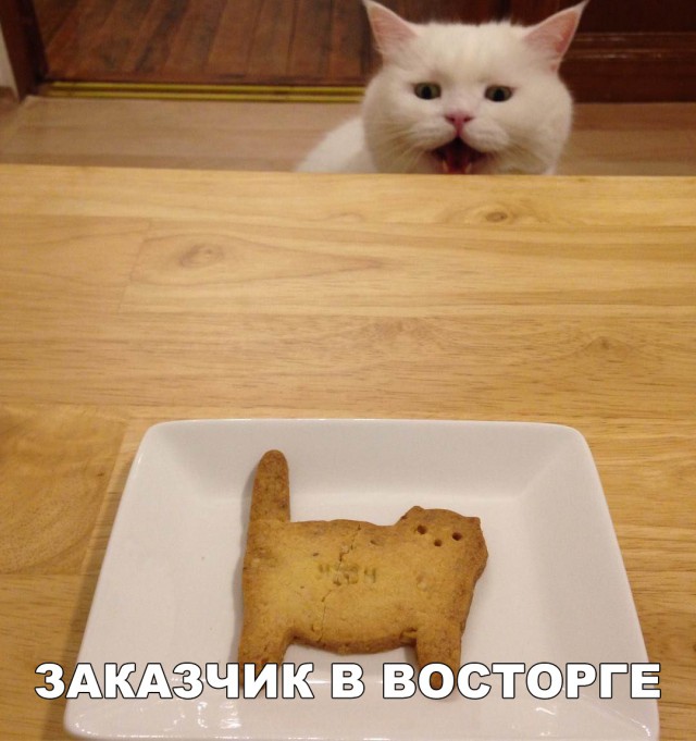 Прикольные картинки абавсём