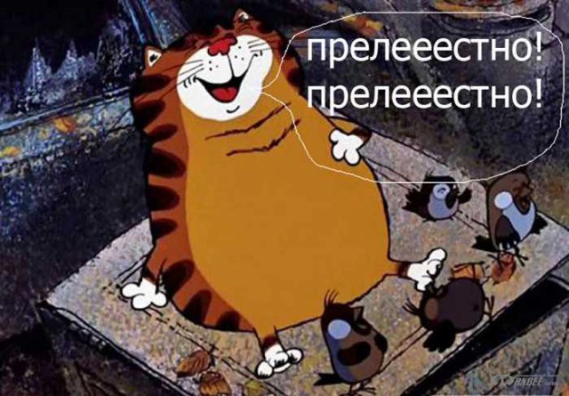 23 самых ленивых кота