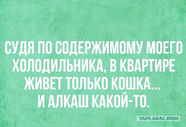 Анекдоты в картинках