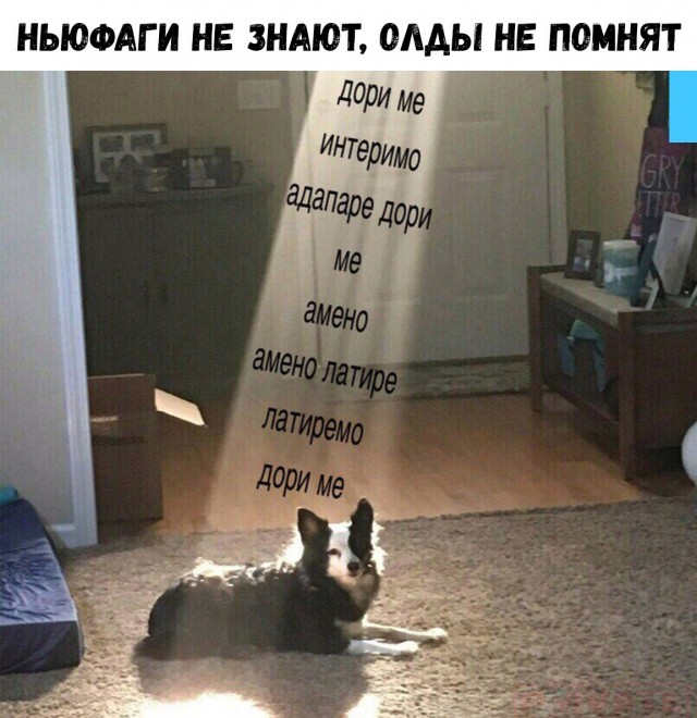 Нестандартный юмор