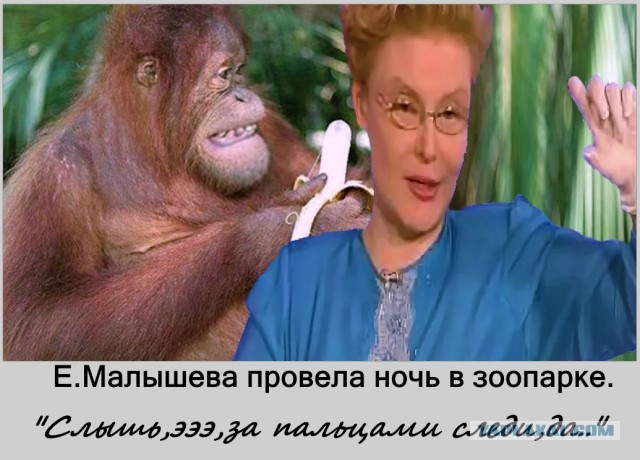 Куда катится жизнь
