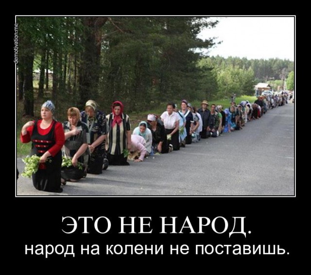 Мы не виноваты