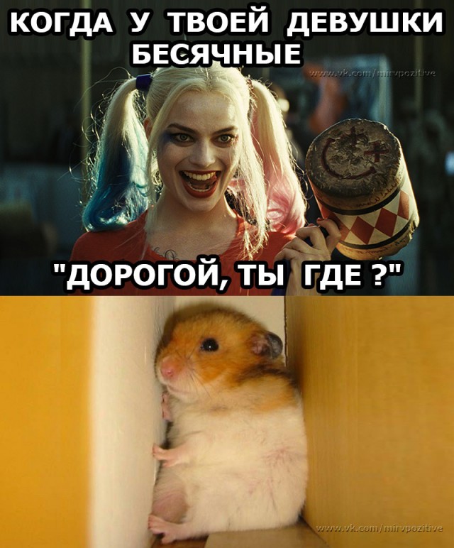 Чернушка к пятничке