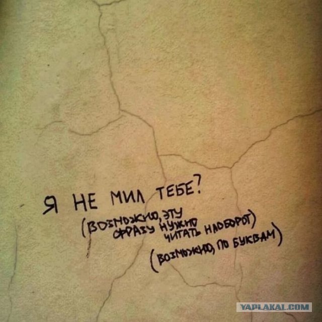 Асфальт, стены, заборы... Так пить или жить?