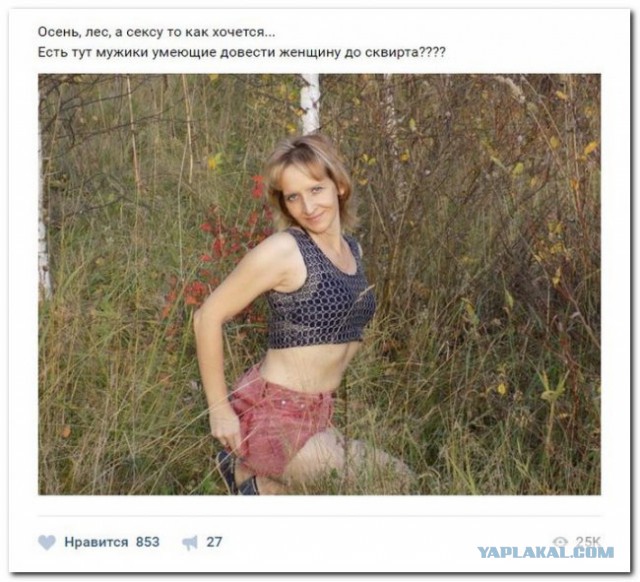 Скотсети и прочие интернеты 05.07.19