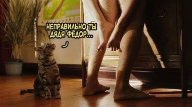 Немного картинок в этот понедельник - 22.07.19