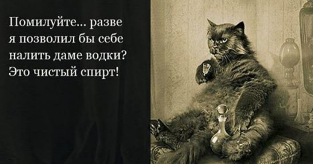 Ваше отношение к женщинам, которые выпивают водку?