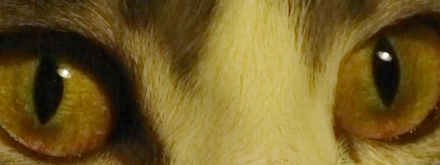 Суперфотоаппарат