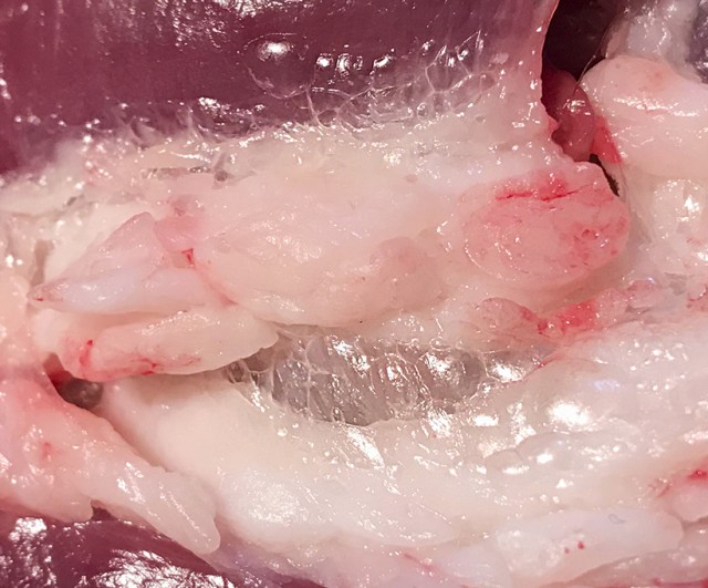 Казан-самса II