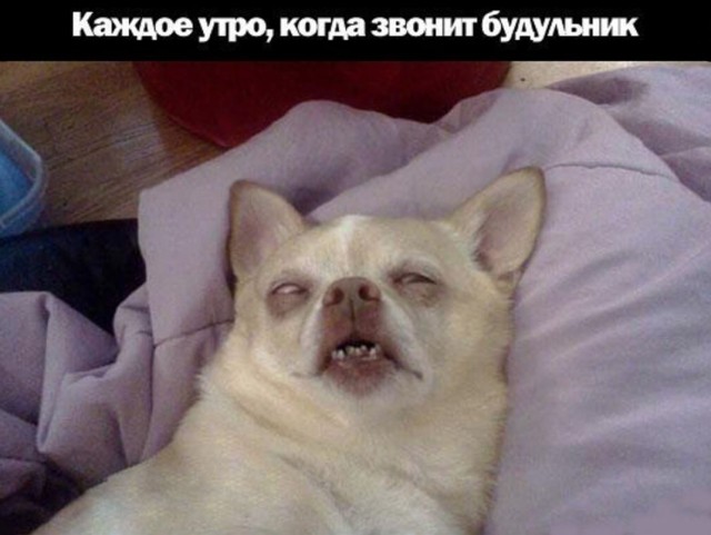 Картинки всякие