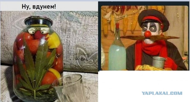 Чуток картинок 22.05.20
