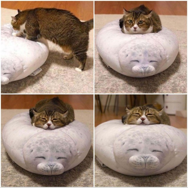 Зверушки