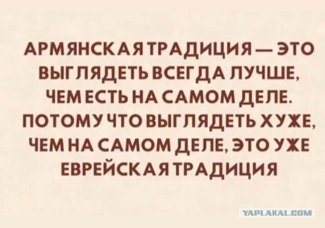 10 лет брака псу под хвост