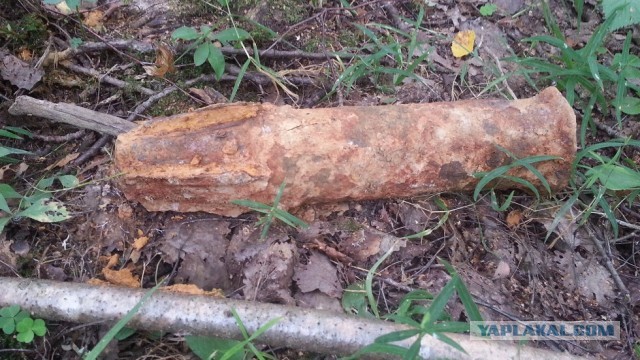 Дорога через ад и на грани человеческих возможностей. Дорога Победы в блокадный Ленинград.