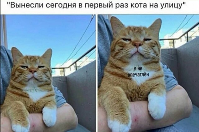 Юмор в картинках 31.08.20