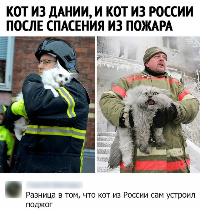 Пятница. И немного слегка пошлых картинок с надписями и без 16+ (20.11)