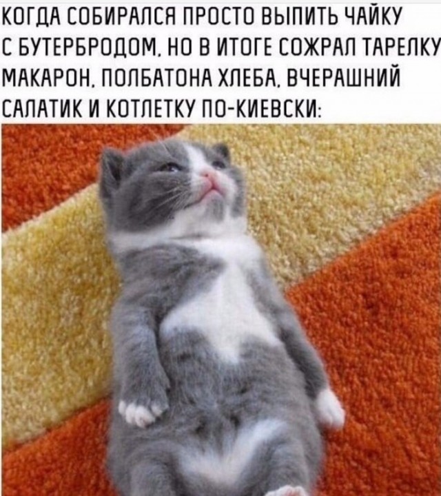 Картинки с надписями и всякие жизненные фразы