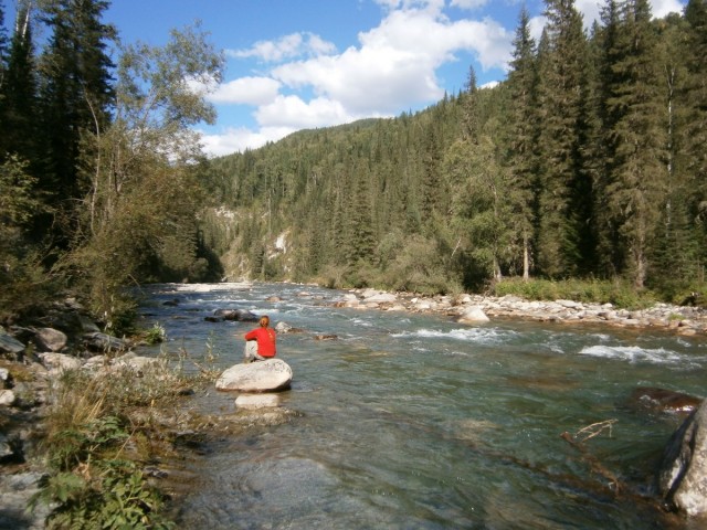 На конягах по Алтаю