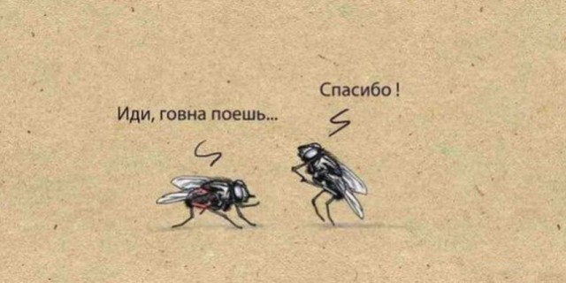 Как россияне смотрели новогоднее обращение Путина 2021 года
