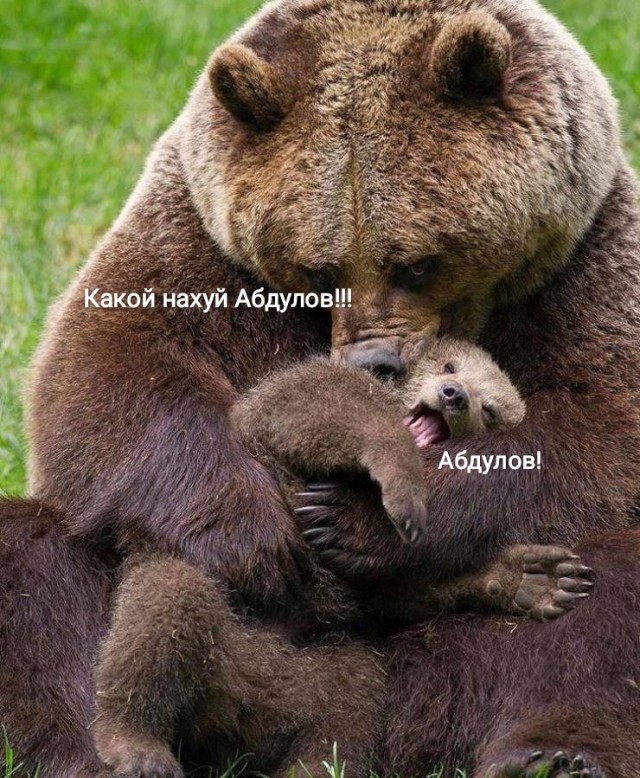 Другое "Обыкновенное чудо"