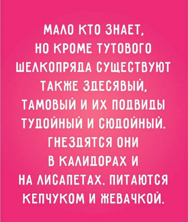 Картинки 24 шт. (вроде)