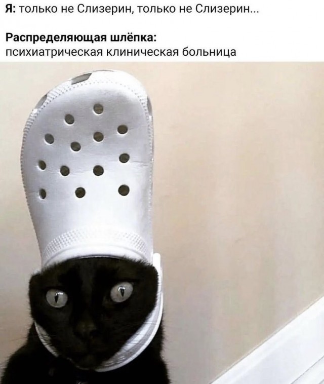 Весёлый полтишок 10.08